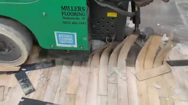 Close-up from our demolition video of the Miller’s ride-on scraper lifting strips of flooring.